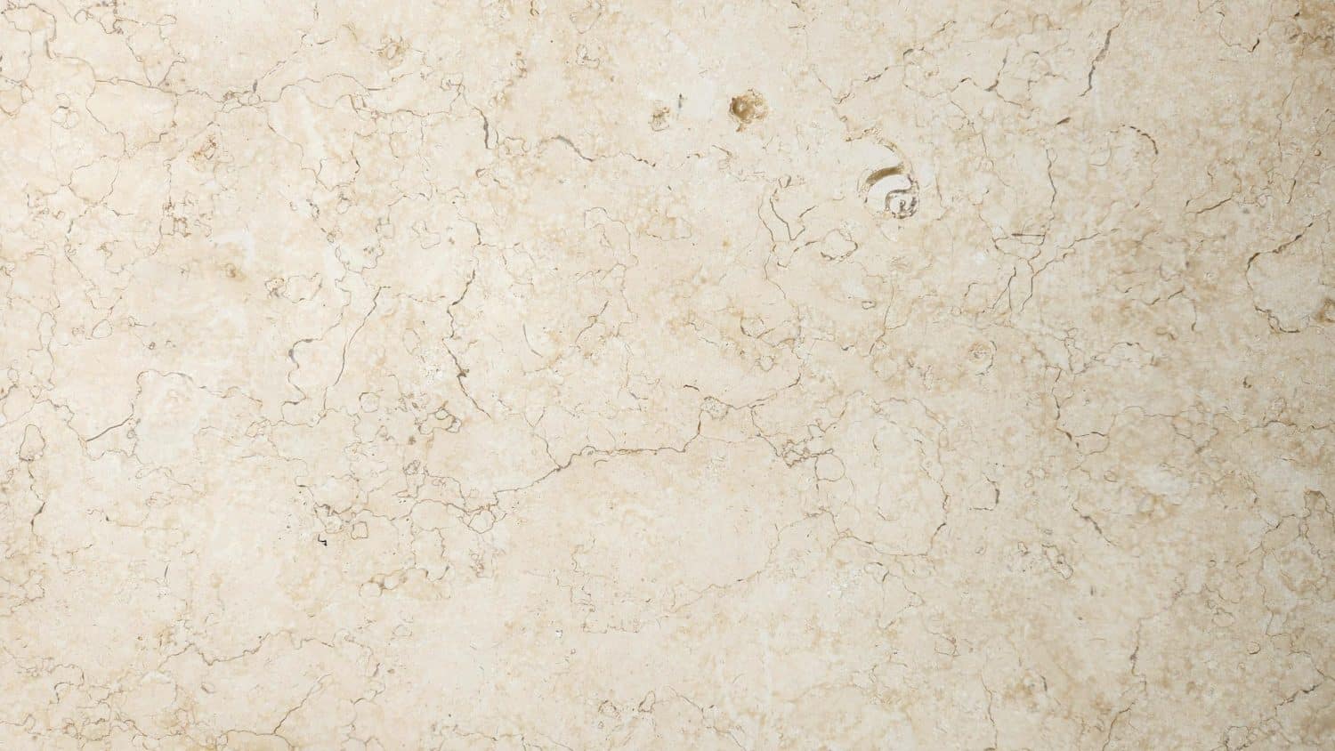 Crema Galala - Imagen 2